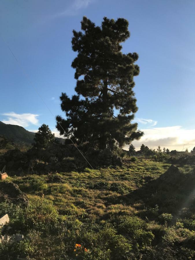 Hébergement de vacances Casa Casilda El Paso
